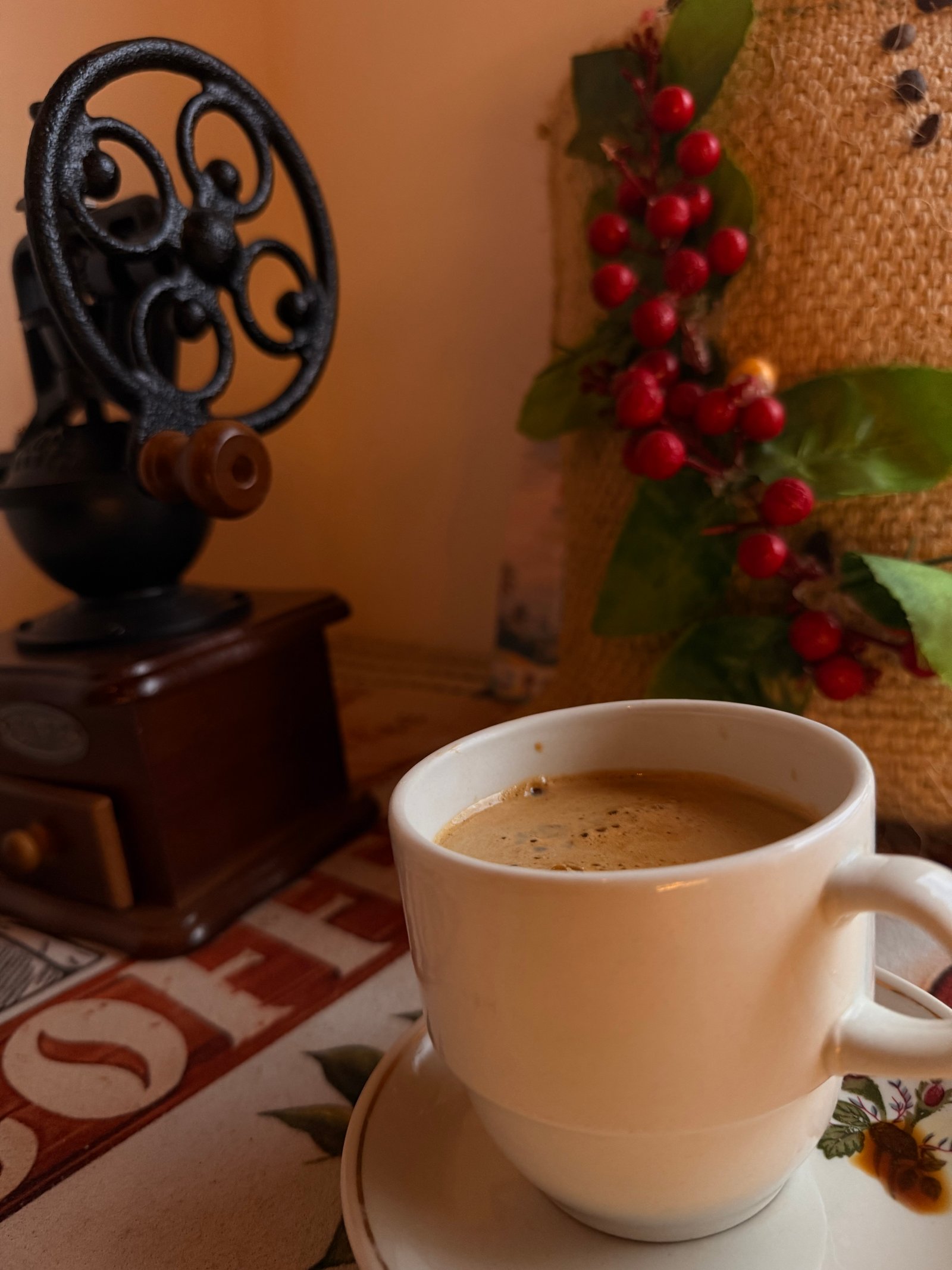 Dopsen Café - Fotografía 143 de fincas cafeteras, procesos de tostión y catación profesional