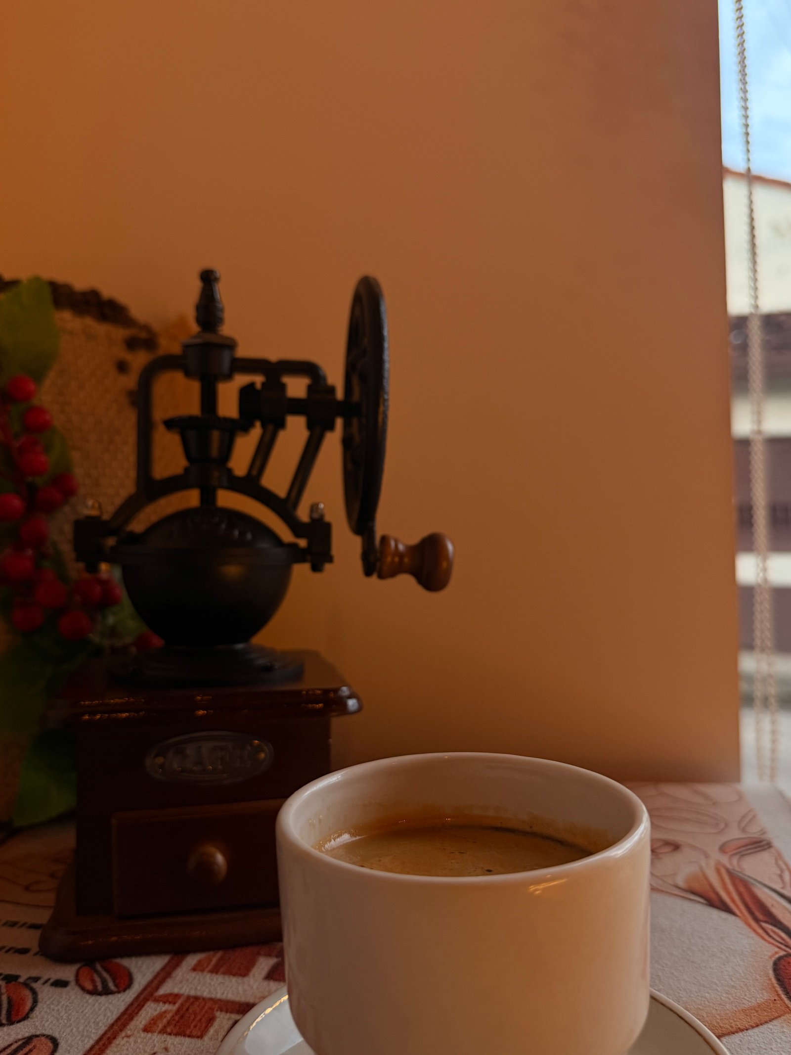 Dopsen Café - Fotografía 144 de fincas cafeteras, procesos de tostión y catación profesional