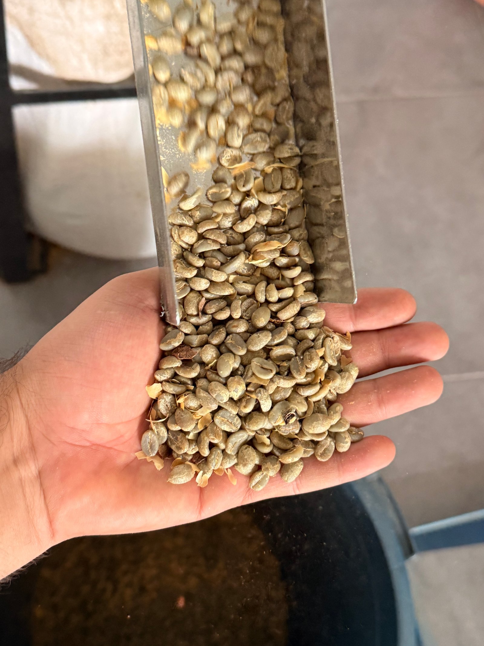 Dopsen Café - Fotografía 149 de fincas cafeteras, procesos de tostión y catación profesional