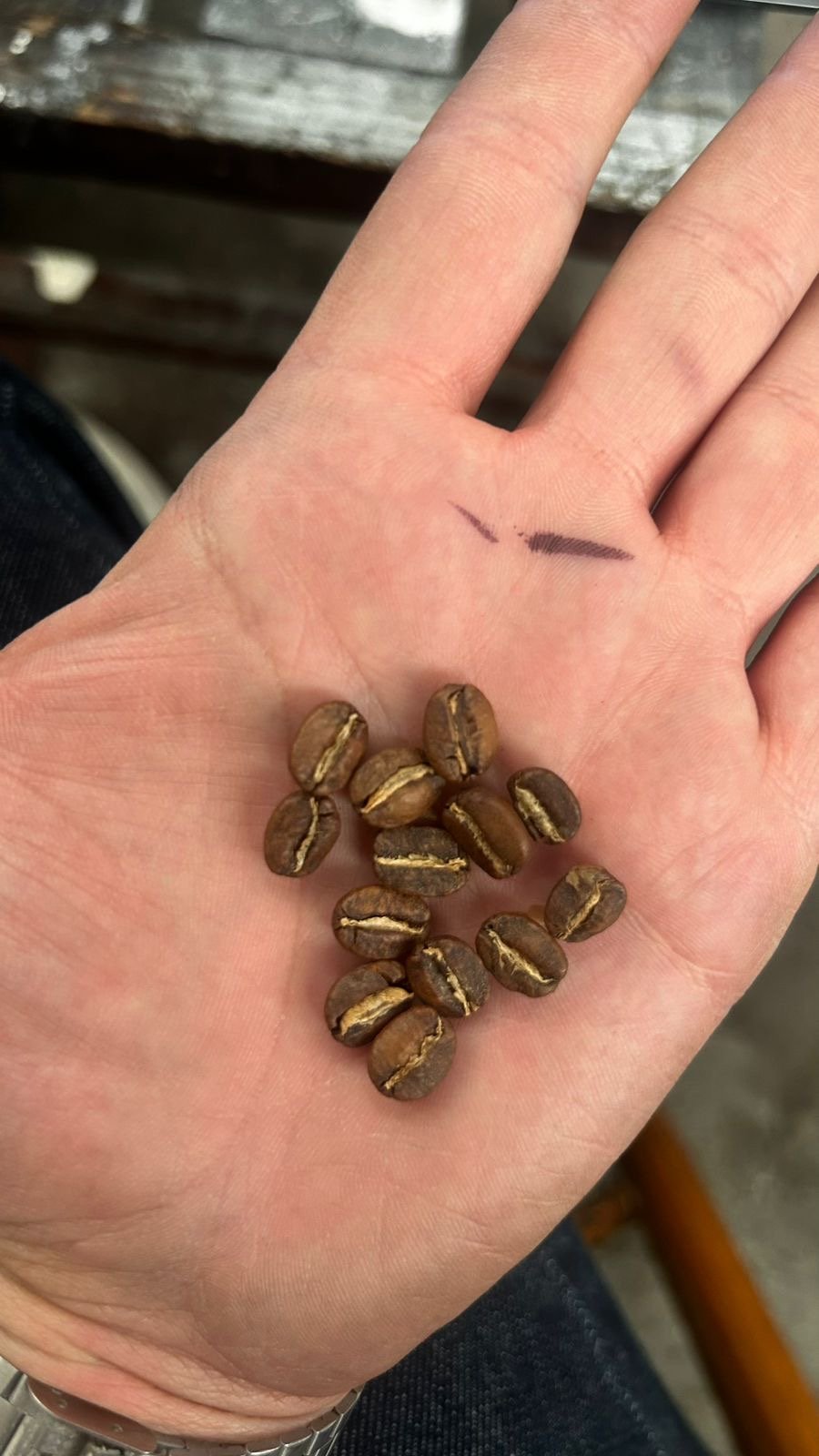 Dopsen Café - Fotografía 153 de fincas cafeteras, procesos de tostión y catación profesional