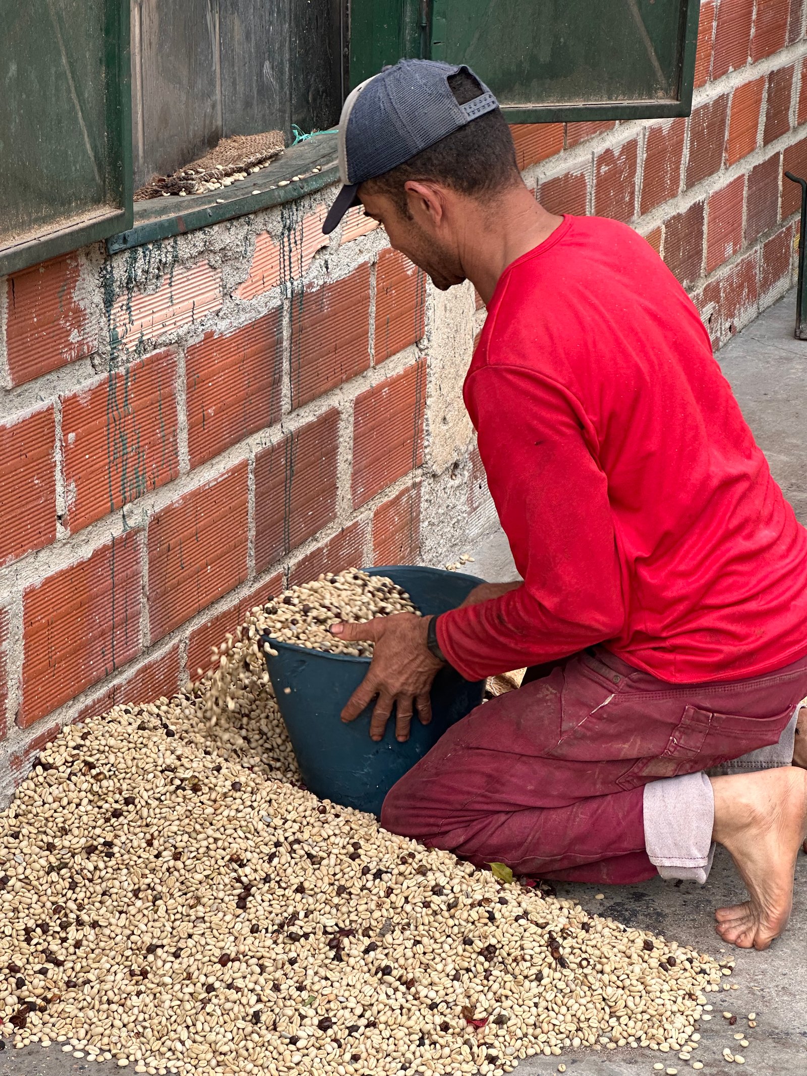 Dopsen Café - Fotografía 16 de fincas cafeteras, procesos de tostión y catación profesional