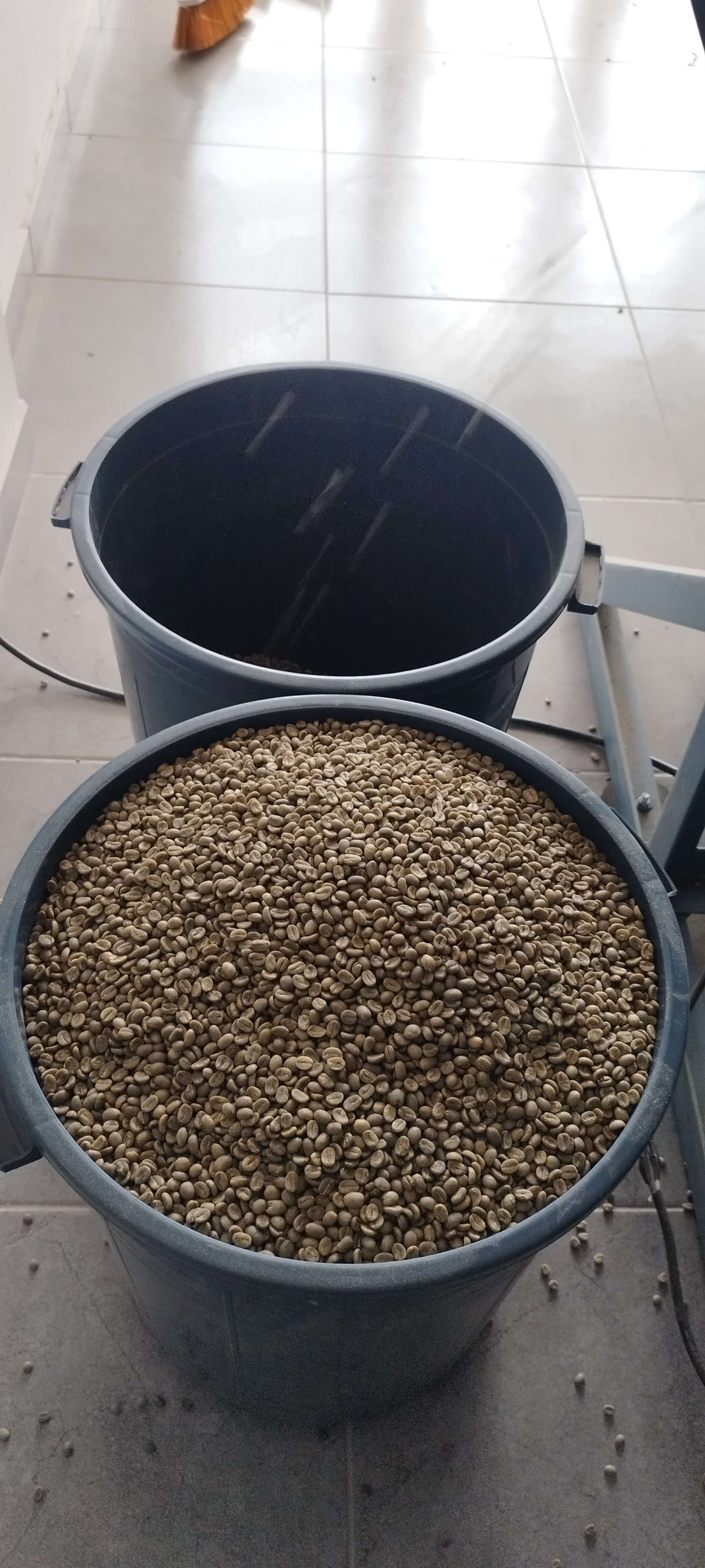 Dopsen Café - Fotografía 166 de fincas cafeteras, procesos de tostión y catación profesional