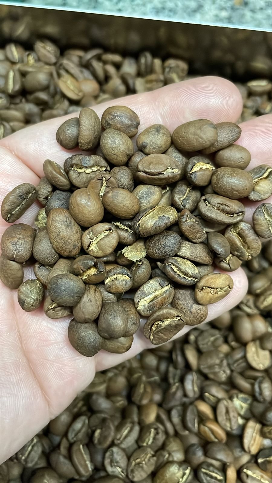 Dopsen Café - Fotografía 168 de fincas cafeteras, procesos de tostión y catación profesional
