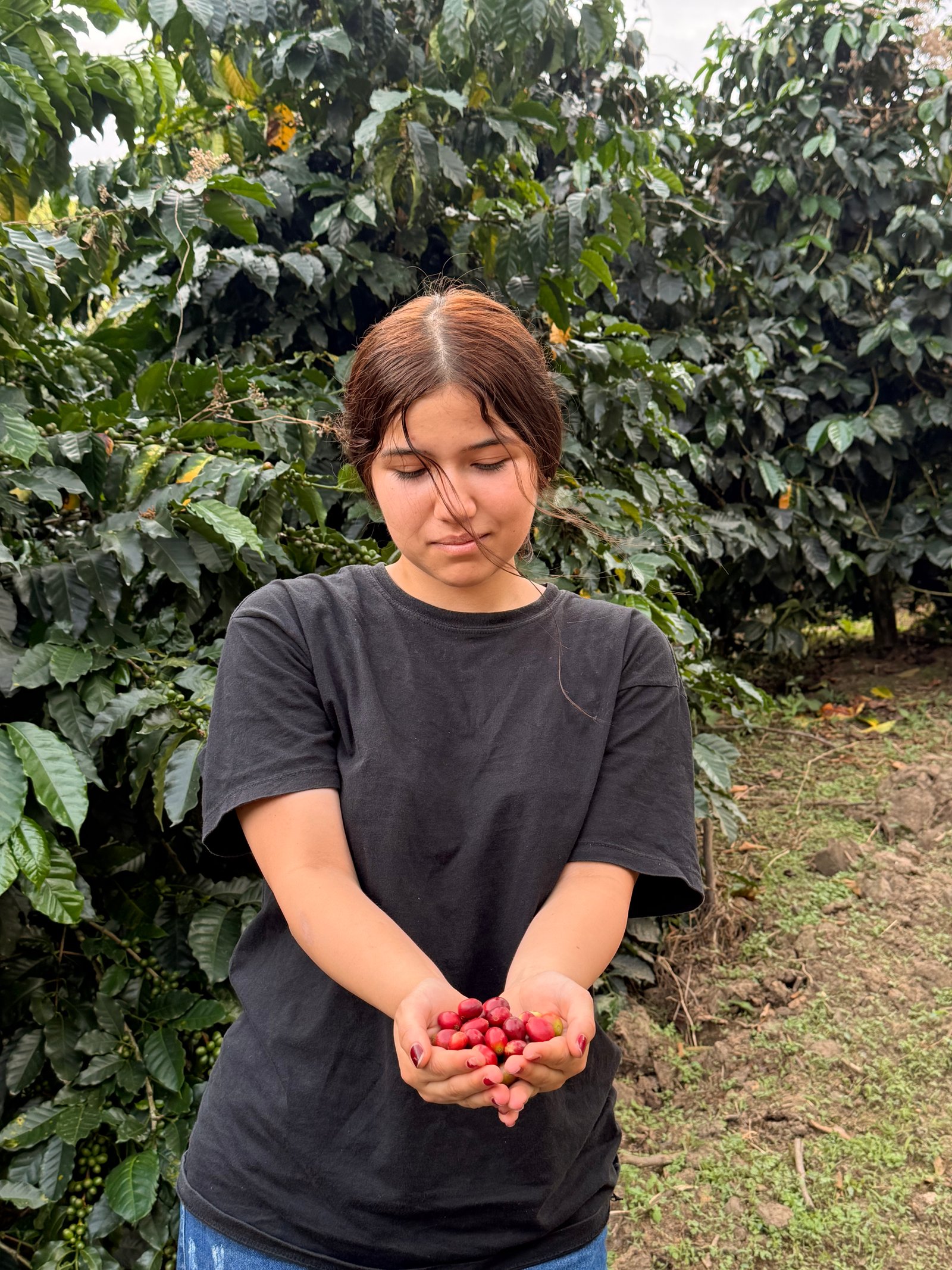 Dopsen Café - Fotografía 55 de fincas cafeteras, procesos de tostión y catación profesional
