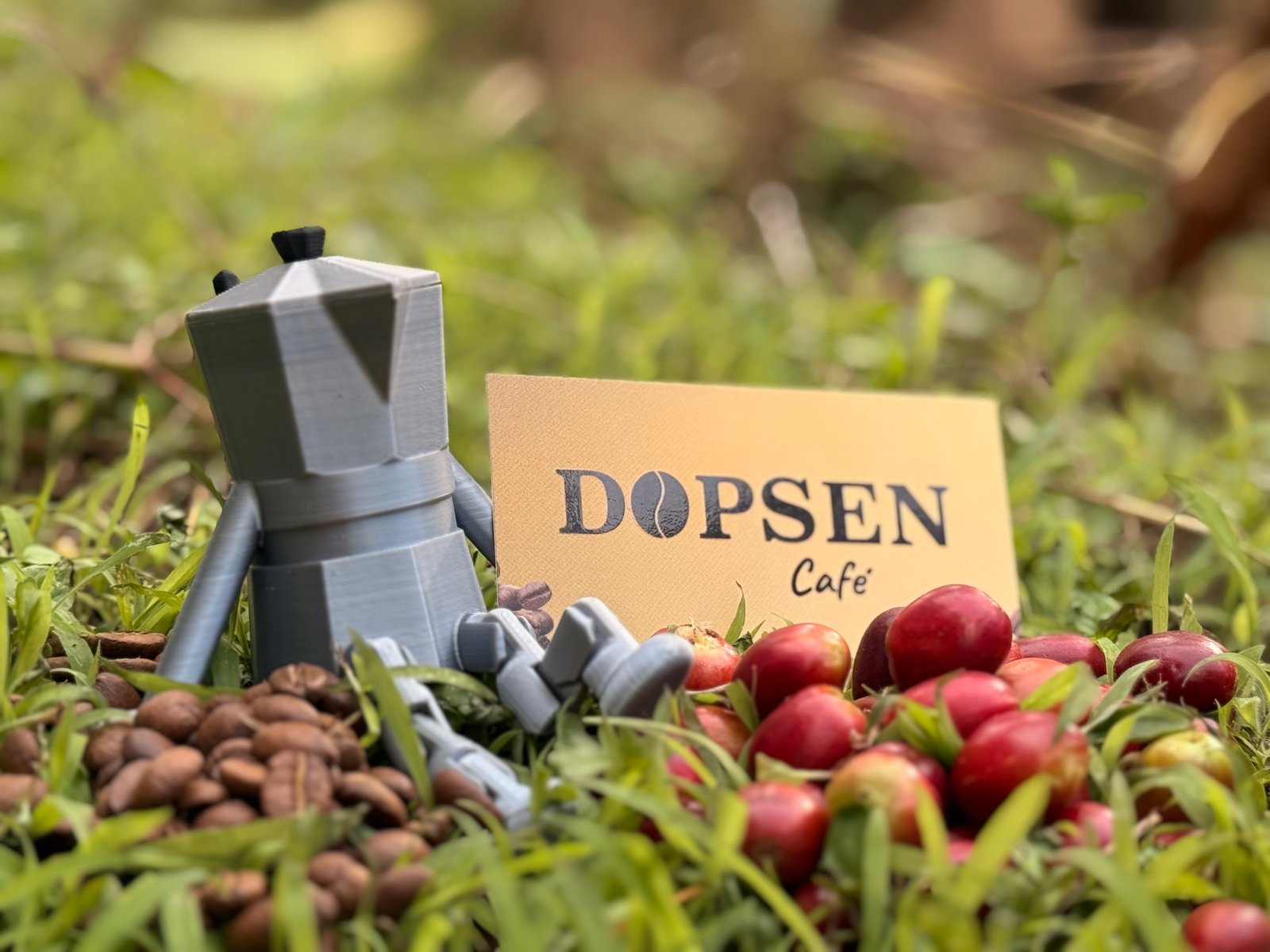 Dopsen Café - Fotografía 62 de fincas cafeteras, procesos de tostión y catación profesional
