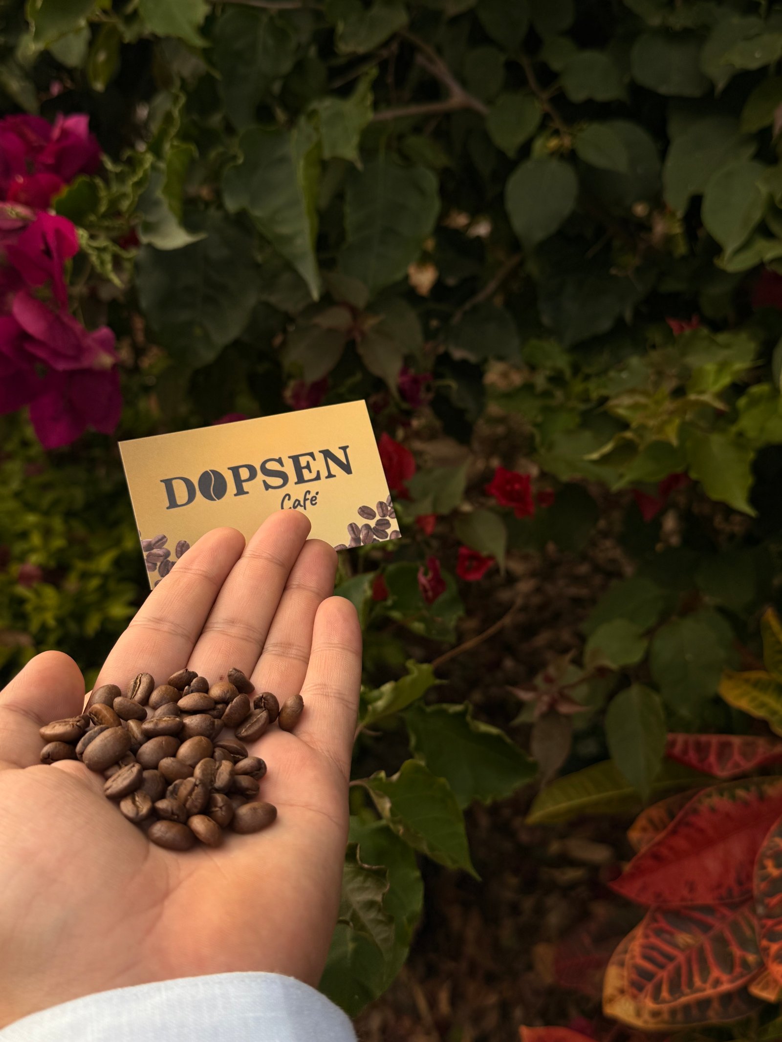 Dopsen Café - Fotografía 70 de fincas cafeteras, procesos de tostión y catación profesional