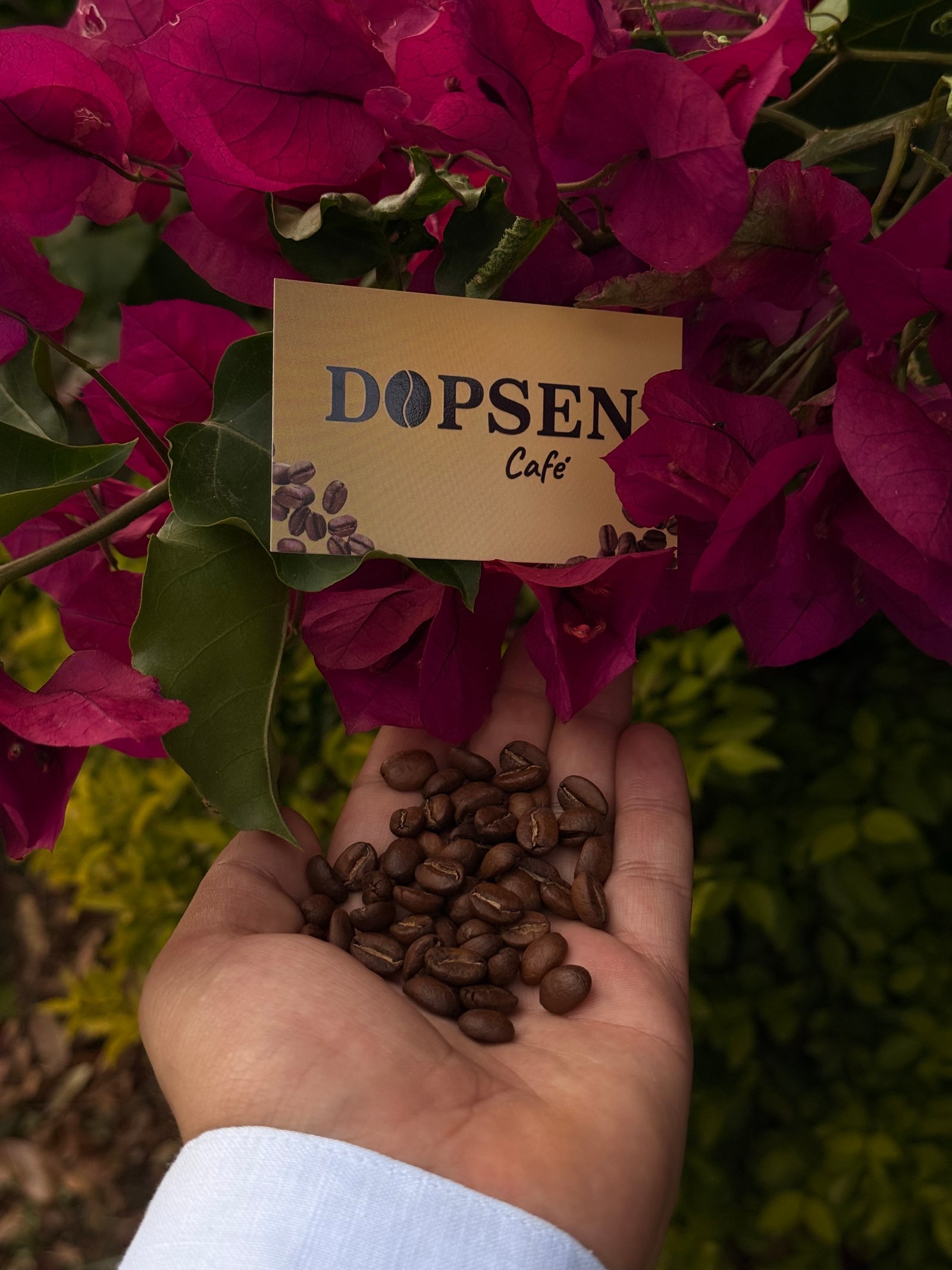 Dopsen Café - Fotografía 71 de fincas cafeteras, procesos de tostión y catación profesional