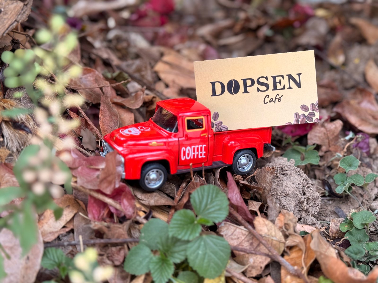 Dopsen Café - Fotografía 72 de fincas cafeteras, procesos de tostión y catación profesional