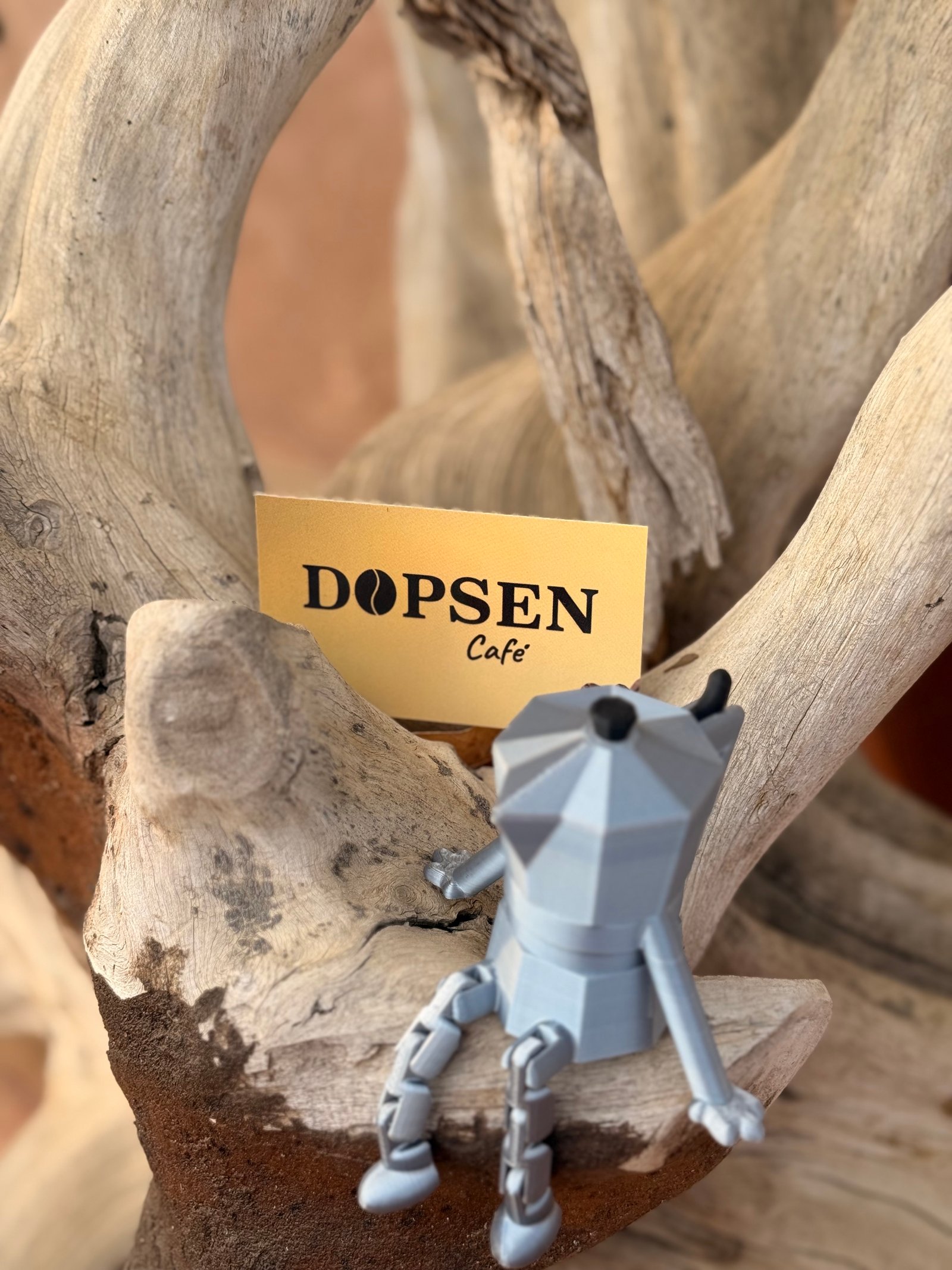 Dopsen Café - Fotografía 73 de fincas cafeteras, procesos de tostión y catación profesional