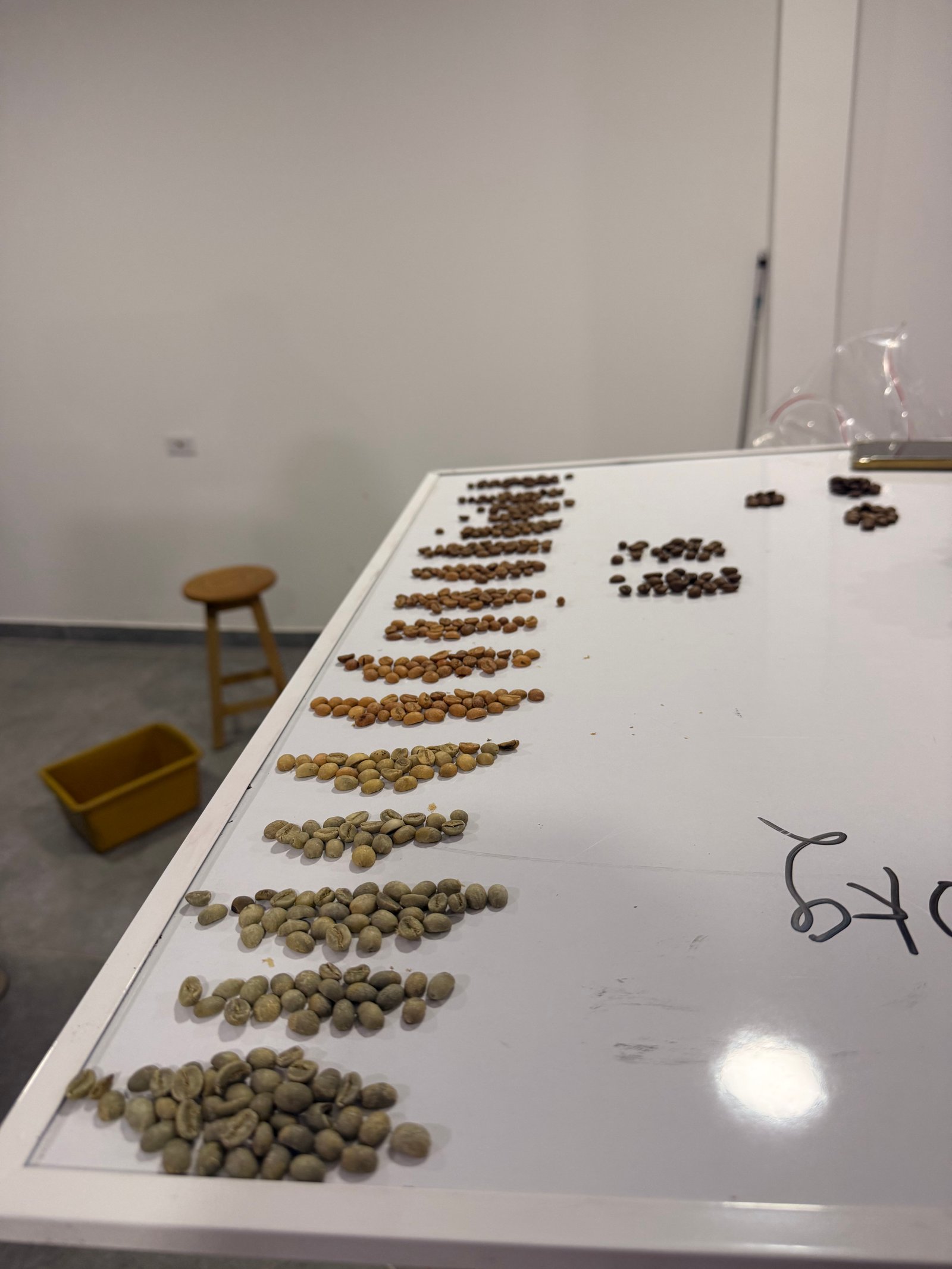 Dopsen Café - Fotografía 84 de fincas cafeteras, procesos de tostión y catación profesional