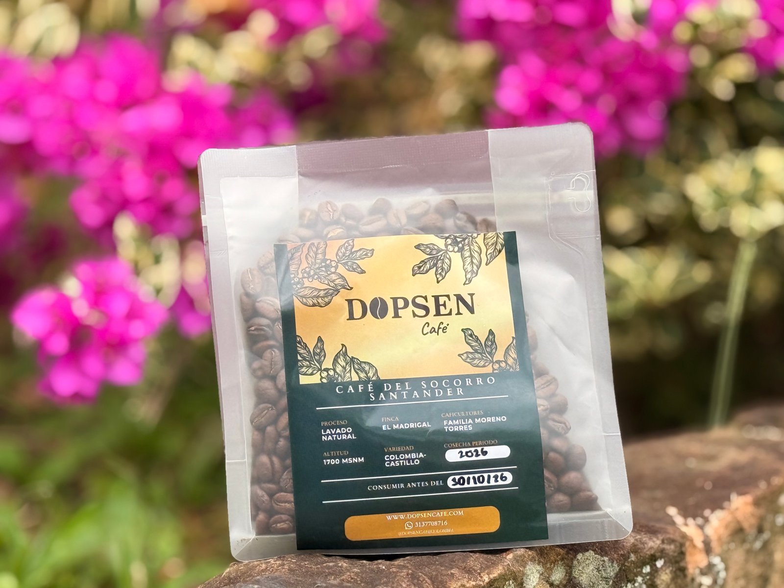 Dopsen Café - Fotografía 89 de fincas cafeteras, procesos de tostión y catación profesional