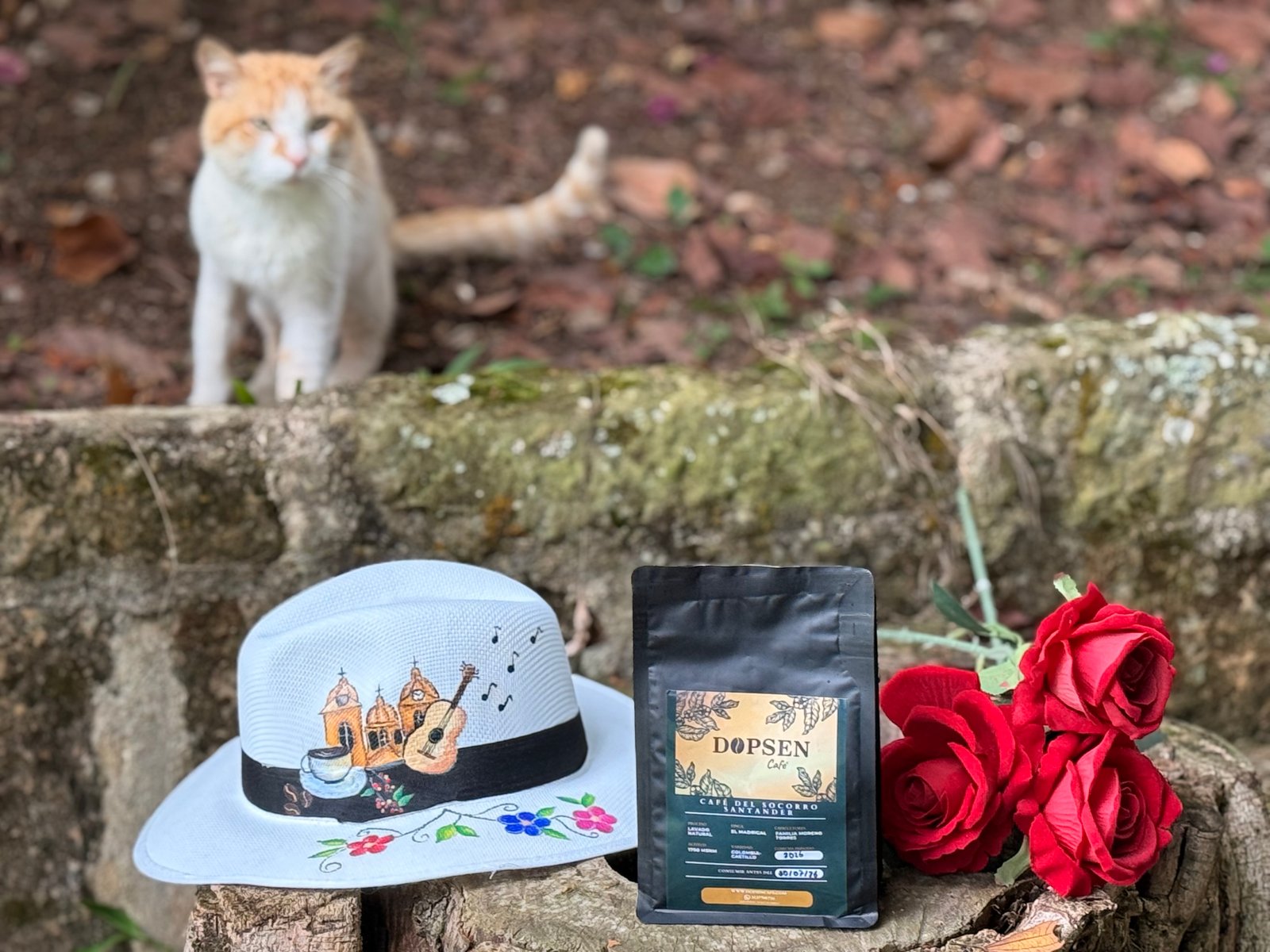 Dopsen Café - Fotografía 92 de fincas cafeteras, procesos de tostión y catación profesional